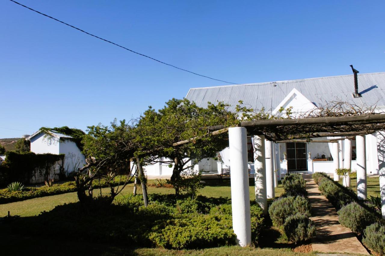 86 On Jubilee Hotel Oudtshoorn Exterior photo